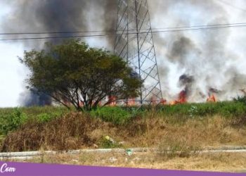 Tebu Siap Panen Seluas 4 Hektar di Jakenan Terbakar, Kerugian Ditaksir 60 Juta