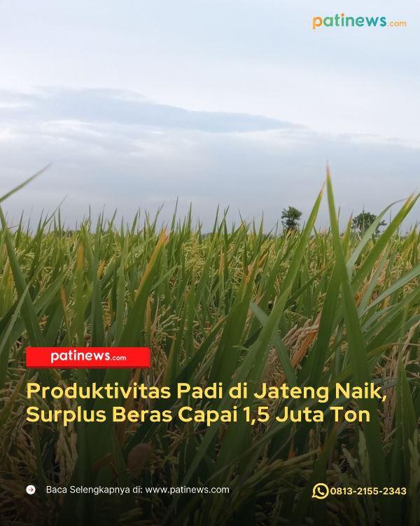 4:5 Template Patinews - 1